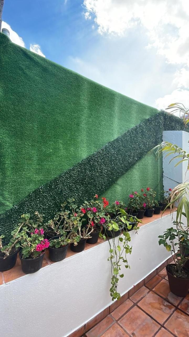 Casa Frida Condesa Bed & Breakfast Mexico City Exterior photo